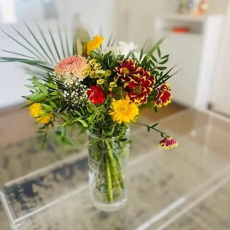 Les Mouettes Face La Baule