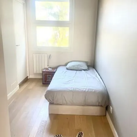 Les Mouettes Face Daire *