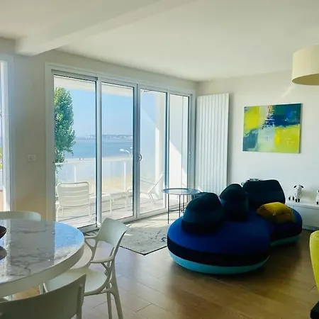 Les Mouettes Face Daire *