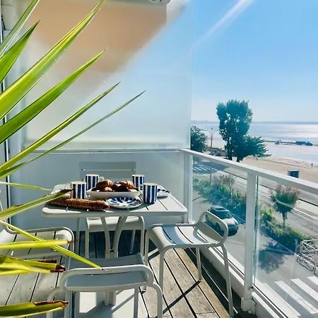 Les Mouettes Face La Baule