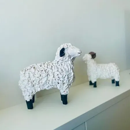 Daire Les Mouettes Face *